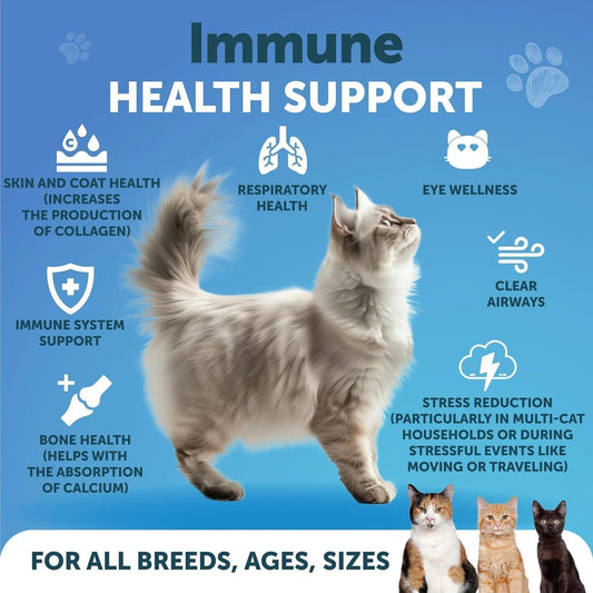 L Lysine for Cats Lysine Powder Supplement 900Mg Serving Immune Support For